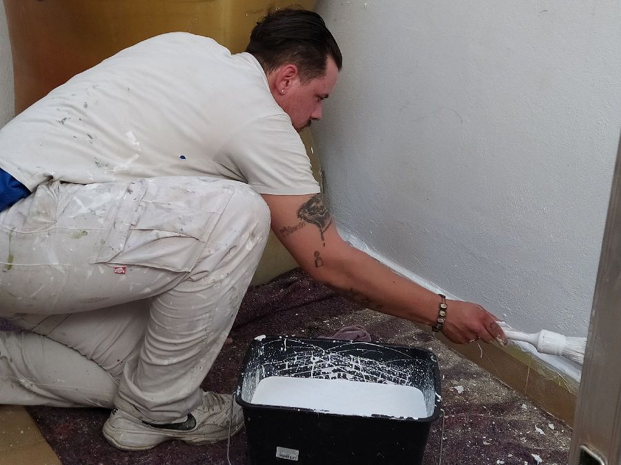 Trabajos de pintura profesional en Zamora interior down